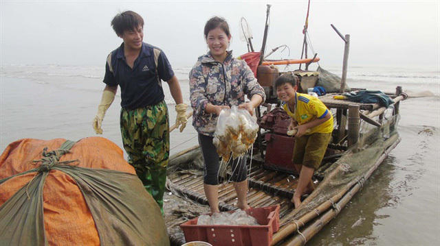 Vớt 'vàng trắng', dân xứ Nghệ thu 100 tỷ