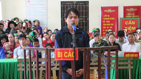 90 ngày tù cho kẻ cầm đầu phá rừng pơ mu ở Nghệ An