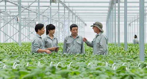 Học viện Nông nghiệp: 6 thập kỉ ‘trồng người’ cho nông nghiệp Việt