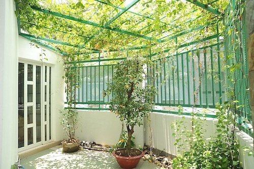 Tuyệt chiêu cho ngôi nhà mát rượi mùa hè chẳng cần điều hòa