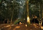 Bộ tộc người lùn kỳ bí sống trong rừng rậm châu Phi