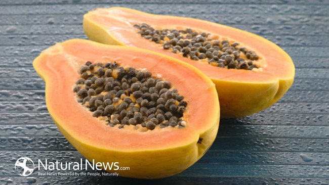 Không chỉ lá, hạt đu đủ cũng chữa ung thư