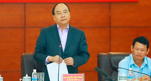 Bàn cách phát triển dược liệu Việt Nam quy mô toàn quốc