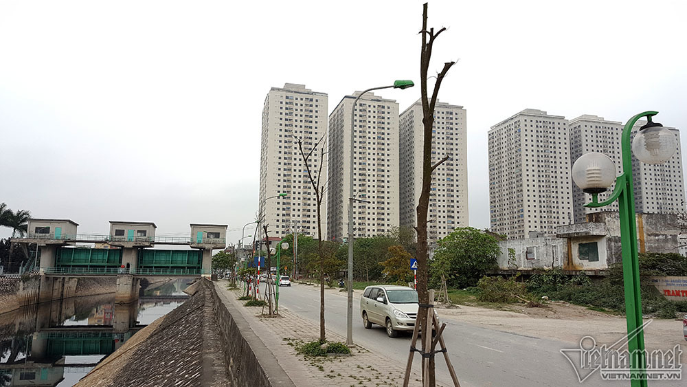 Hà Nội: Hàng loạt cây xanh trên 1 tuyến phố chết khô