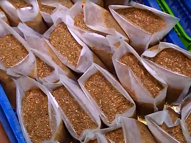 8 tấn cua xay bốc mùi thối chuẩn bị tiêu thụ ở chợ Hà Nội