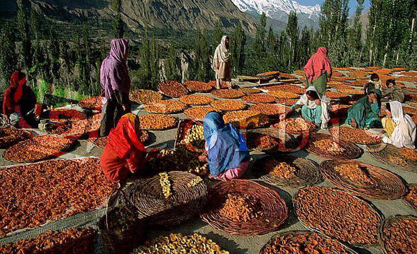 Vùng đất 900 năm không có ai mắc ung thư