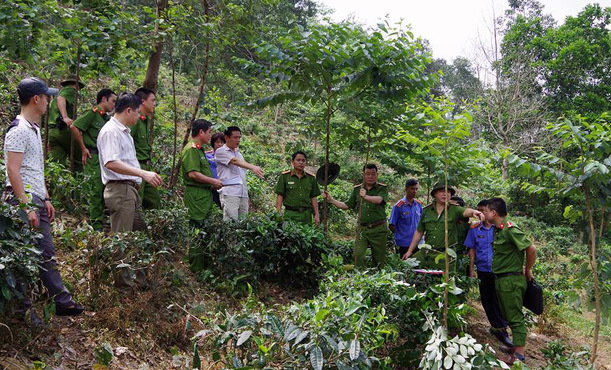 Hà Giang: Phát hiện xác phụ nữ bị trói vào gốc cây