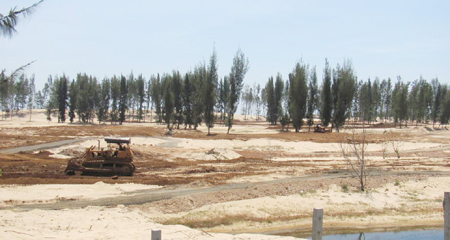 Phú Yên: Phá rừng phòng hộ làm sân golf, thi hoa hậu