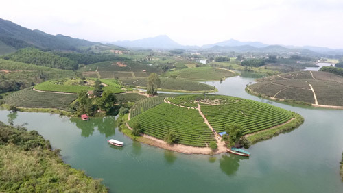 Cienco4 chuyển sang mô hình Tập đoàn kinh tế đa ngành