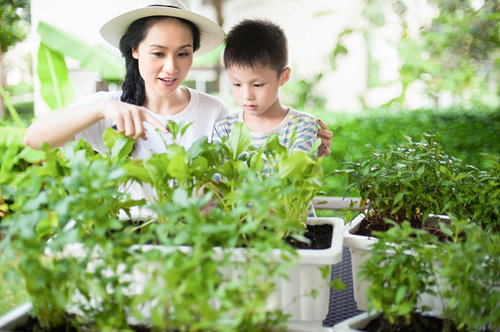 Các anh mua ‘nhà’, chúng tôi mua ‘tổ ấm’