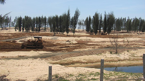 Thủ tướng yêu cầu làm rõ vụ phá rừng phòng hộ tại Phú Yên