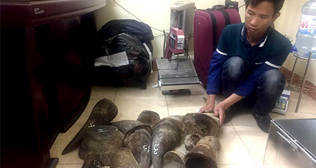 Ông trùm buôn bán sừng tê giác Việt Nam bị bắt giữ