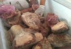 Hàng trăm kg thịt thối tuồn ra chợ