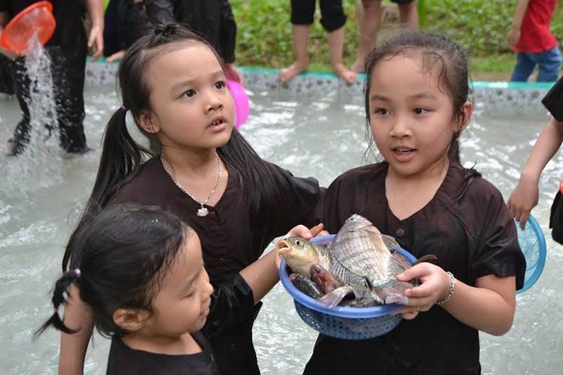 Trẻ thành phố học cách trở về thiên nhiên