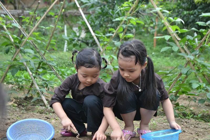 Máy bay thả bom phân xuống đầu người đi đường