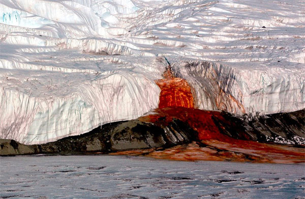 Giải đáp bí ẩn 100 năm về