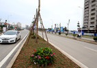Mục sở thị con đường siêu đắt đỏ ở Hà Nội