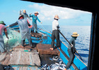 Việt Nam bác bỏ lệnh cấm đánh bắt cá của TQ ở Biển Đông