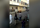 Người đàn ông bị bò điên tấn công giữa phố