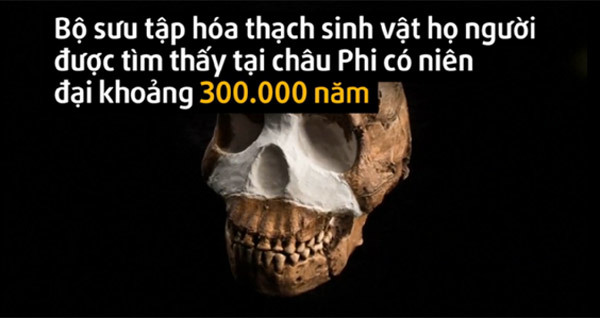 Tiết lộ bất ngờ về tổ tiên mới của loài người hiện đại