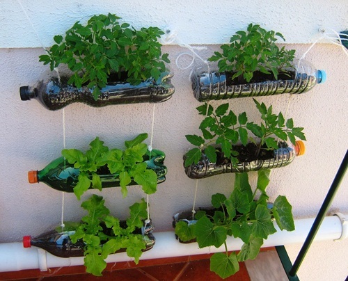Những vườn rau mini độc đáo làm từ đồ phế thải  VOVVN