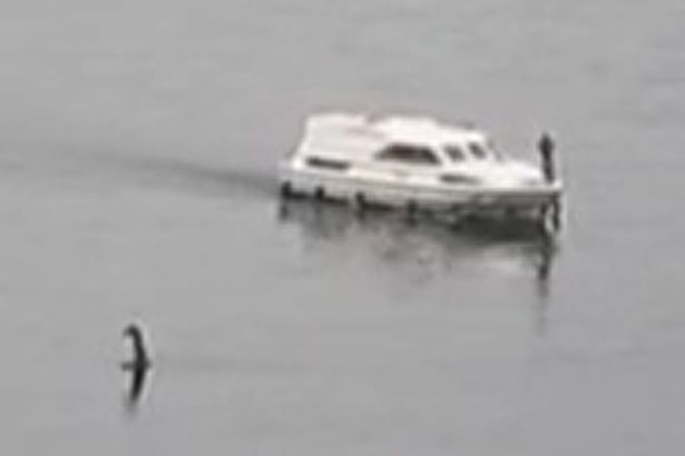 Video quái vật hồ Loch Ness xuất hiện, ngóc đầu giữa lòng hồ?
