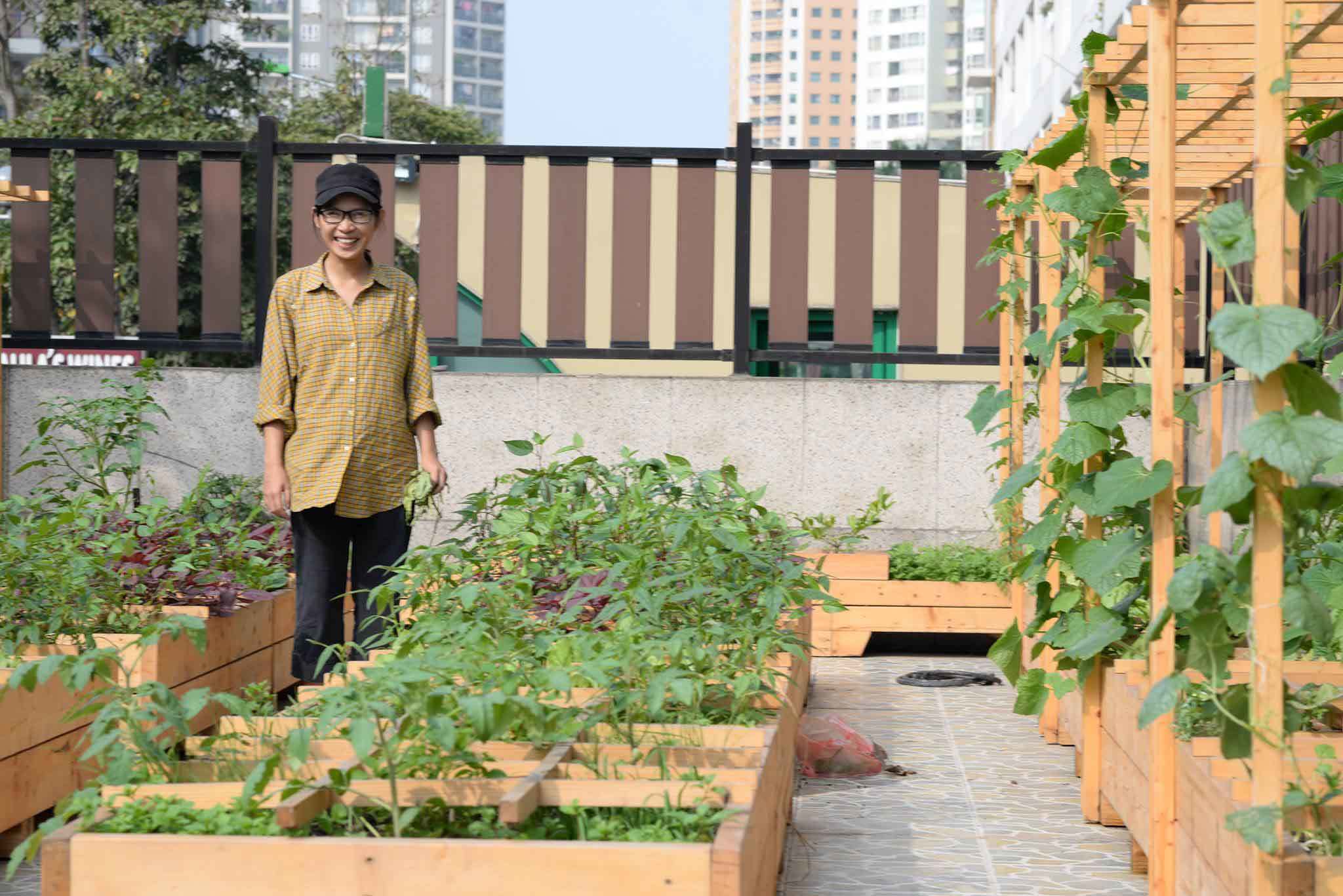 vườn rau sạch, trồng rau sạch, trồng rau trên sân thượng