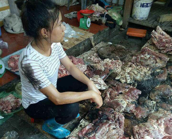 Một doanh nghiệp cam kết mua toàn bộ lợn của chị Xuyến
