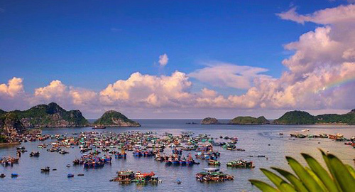 Cát Bà sẽ thành hòn đảo sinh thái thông minh?