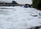 Kênh Tàu Hủ biến thành sông 'băng', người dân lo ô nhiễm