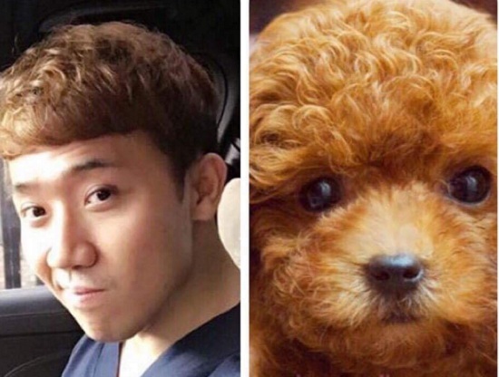Tóc mới của Trấn Thành được fan so sánh với cún