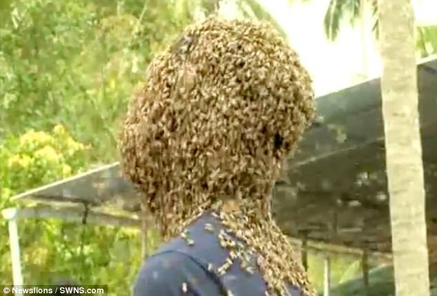 Chàng trai dũng cảm để hàng vạn con ong bu kín mặt