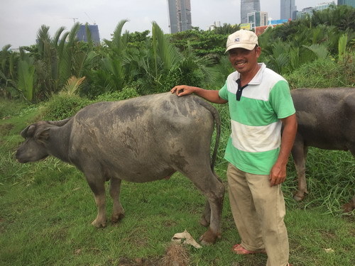 Lãng tử ngủ ống cống, chăn trâu giữa Sài Gòn