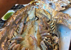 Nhậu con bọ biển khổng lồ, xẻ thịt cá trắm đen 45 triệu