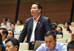 Đề nghị khởi tố ông Phí Thái Bình: Loại bỏ vùng cấm, 'hạ cánh an toàn'