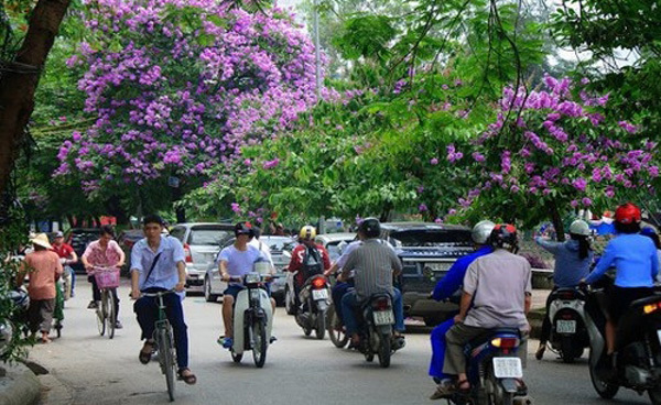 Dự báo thời tiết 25/5: Miền Bắc mát mẻ, miền Trung mưa rất to