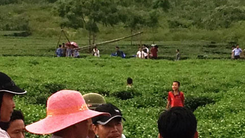 Thi thể người đàn ông gục trên đồi chè với nhiều vết đâm