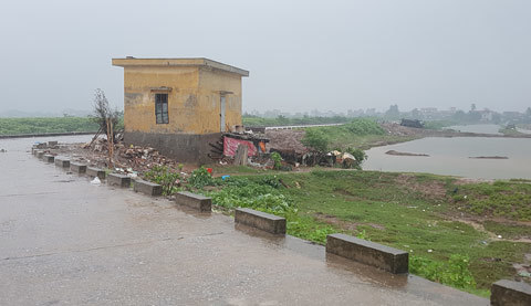 Thái Bình di dời 150ha rừng, hàng trăm gia đình 'mất' đất canh tác?
