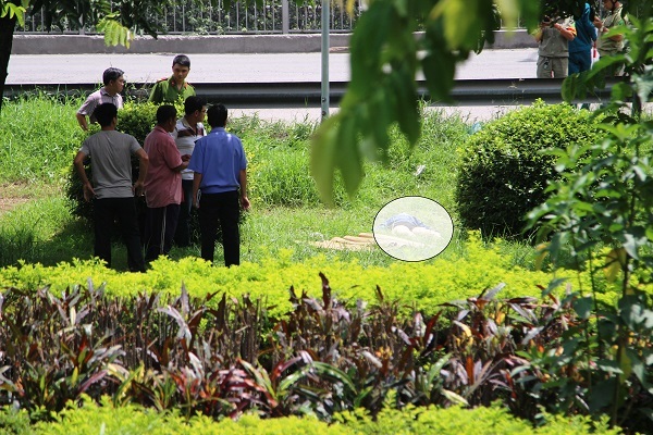 Thông tin bất ngờ vụ phát hiện xác chết ở công viên ven quốc lộ