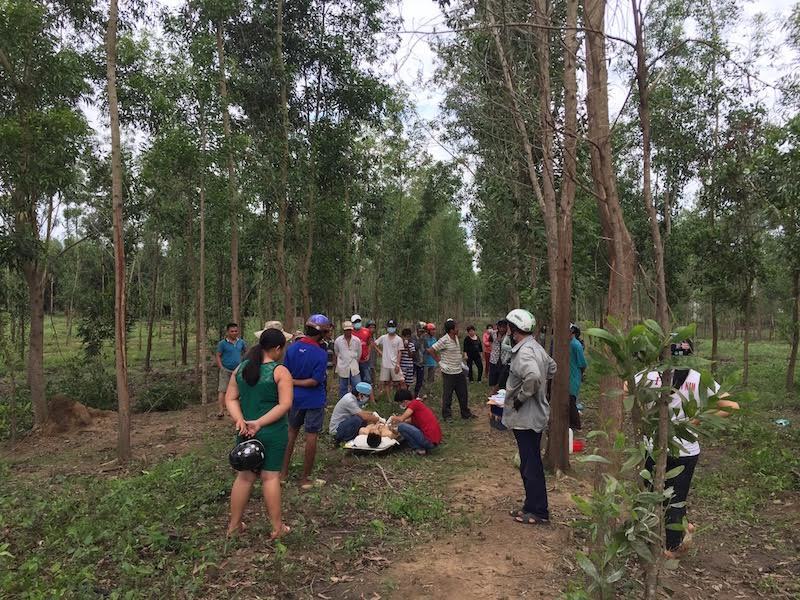 Nam thanh niên treo cổ trong rừng tràm