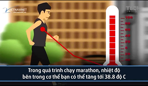 chạy marathon