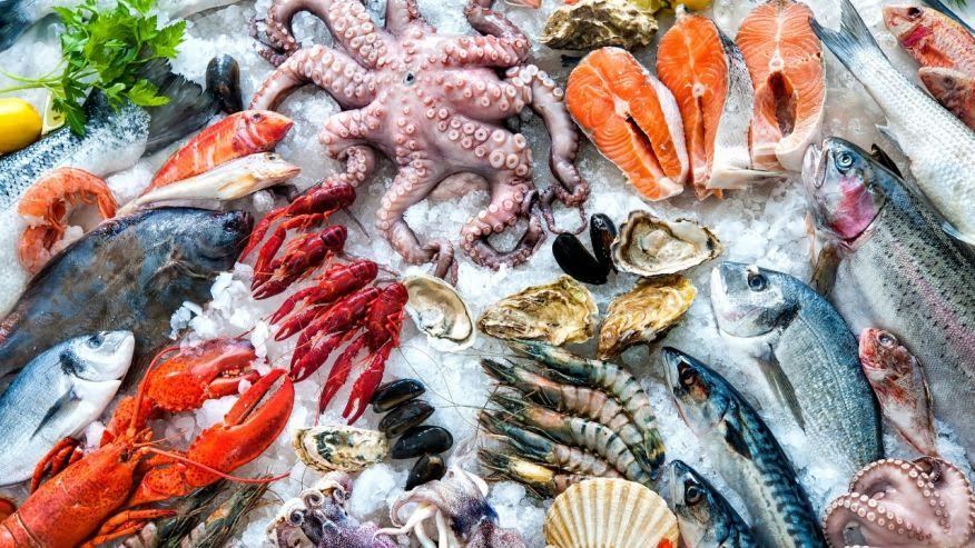 Bảng thời gian bảo quản đồ ăn trong ngăn đá mọi nhà nên biết