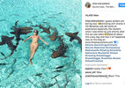 Cô gái Đức hối hận vì chụp ảnh cùng đàn cá mập
