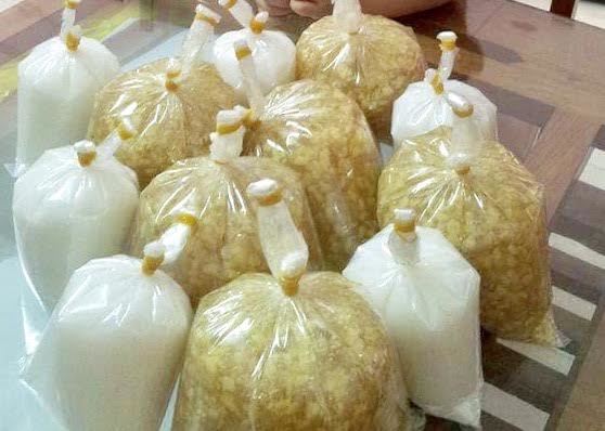 Ngày bán 2 tạ chè bưởi, cô sinh viên thu vài trăm triệu/tháng