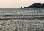 Đàn cá rẽ sóng ở biển Cửa Lò đông người