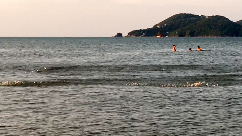 Đàn cá rẽ sóng ở biển Cửa Lò đông người