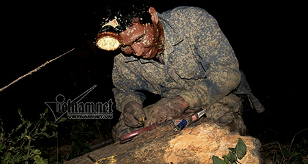 Đổ ra đồng làm đêm tránh nắng cháy da thịt