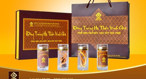 Đông trùng hạ thảo khử gốc tự do phòng ngừa nguy cơ ung thư