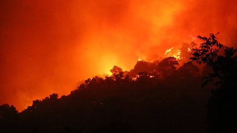 Cháy rừng ở Sóc Sơn, lửa ngút cao sáng rực trong đêm