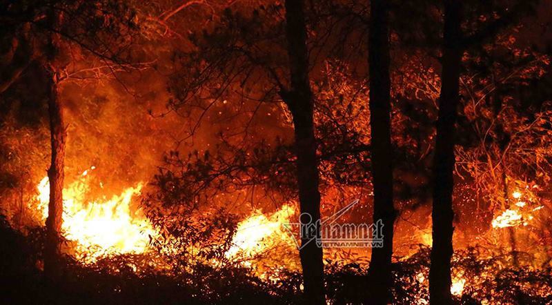 Hà Nội: Cháy rừng phòng hộ Sóc Sơn lớn nhất trong lịch sử